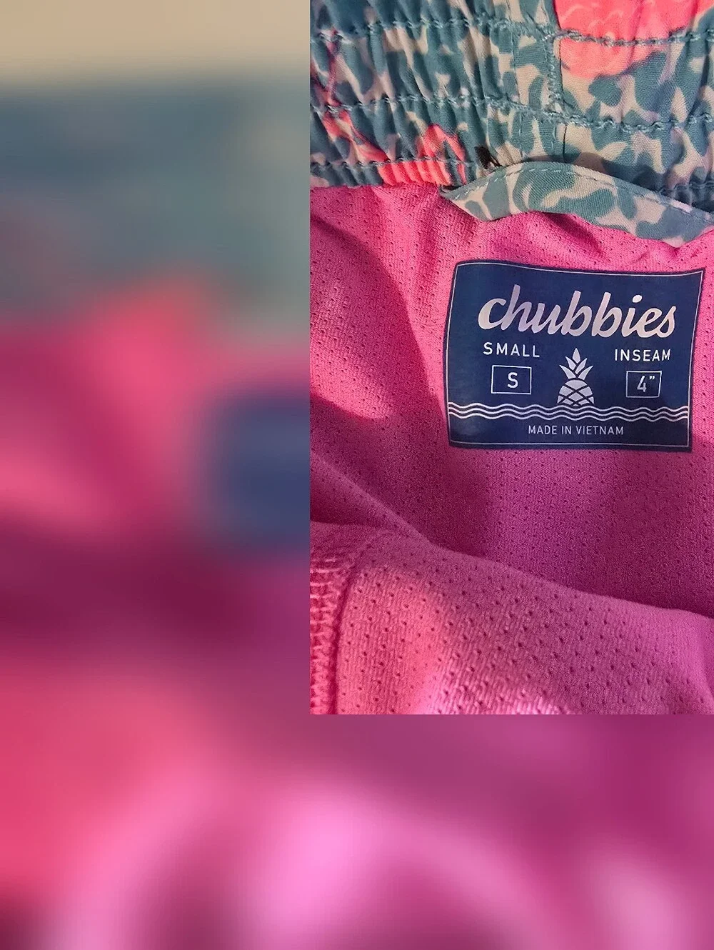 Chubbies Lined Classic Swim Trunk - The Domingos Are For Flamingos 4